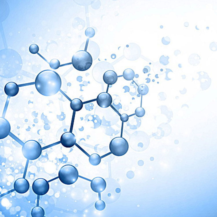 Cationic सोडियम hyaluronate का कार्य
